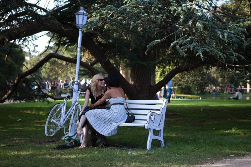 391882_288689544495855_218756528155824_935613_920095944_n